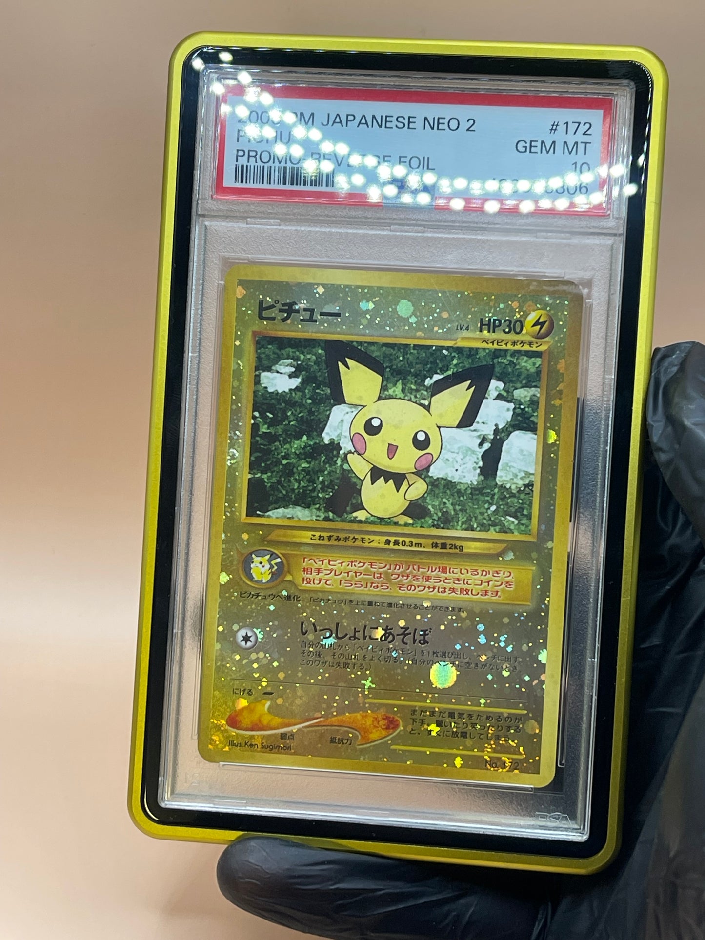 Adamant Guard- Metallic Graded Guard Solid Colour